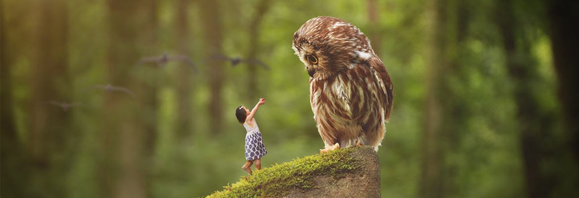 Whimsical composite of a child reaching toward an owl in the forest